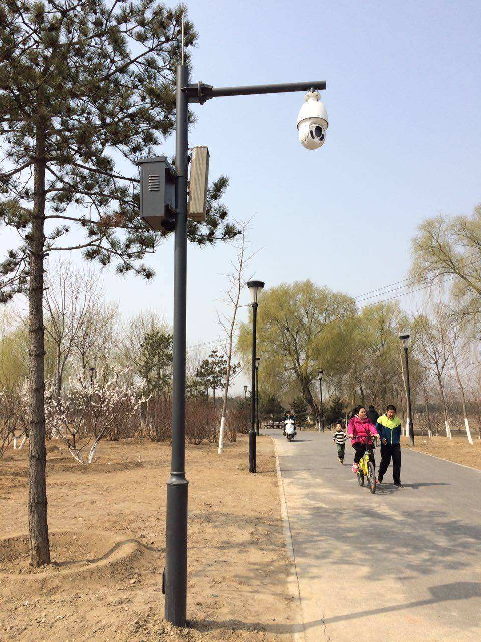 小区监控杆-LX-02